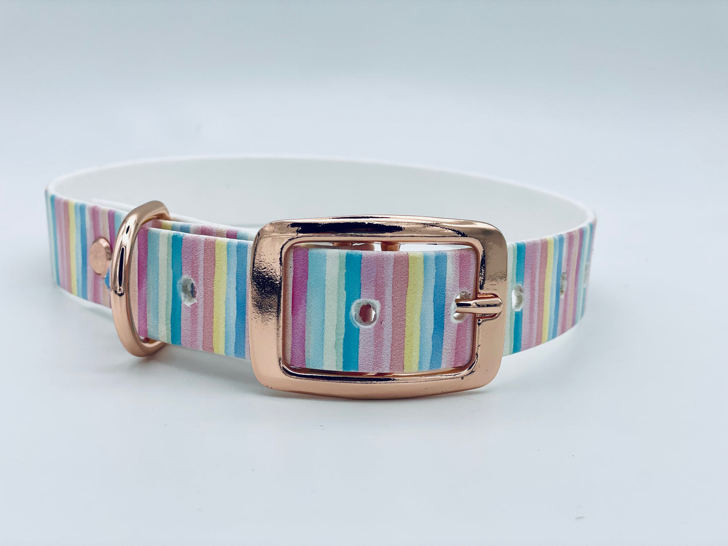 Halsband Biothane Regenbogen - passend zur Einhornleine