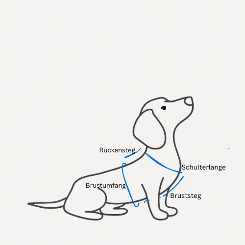 Biothane Geschirr Fischgrät Paracord