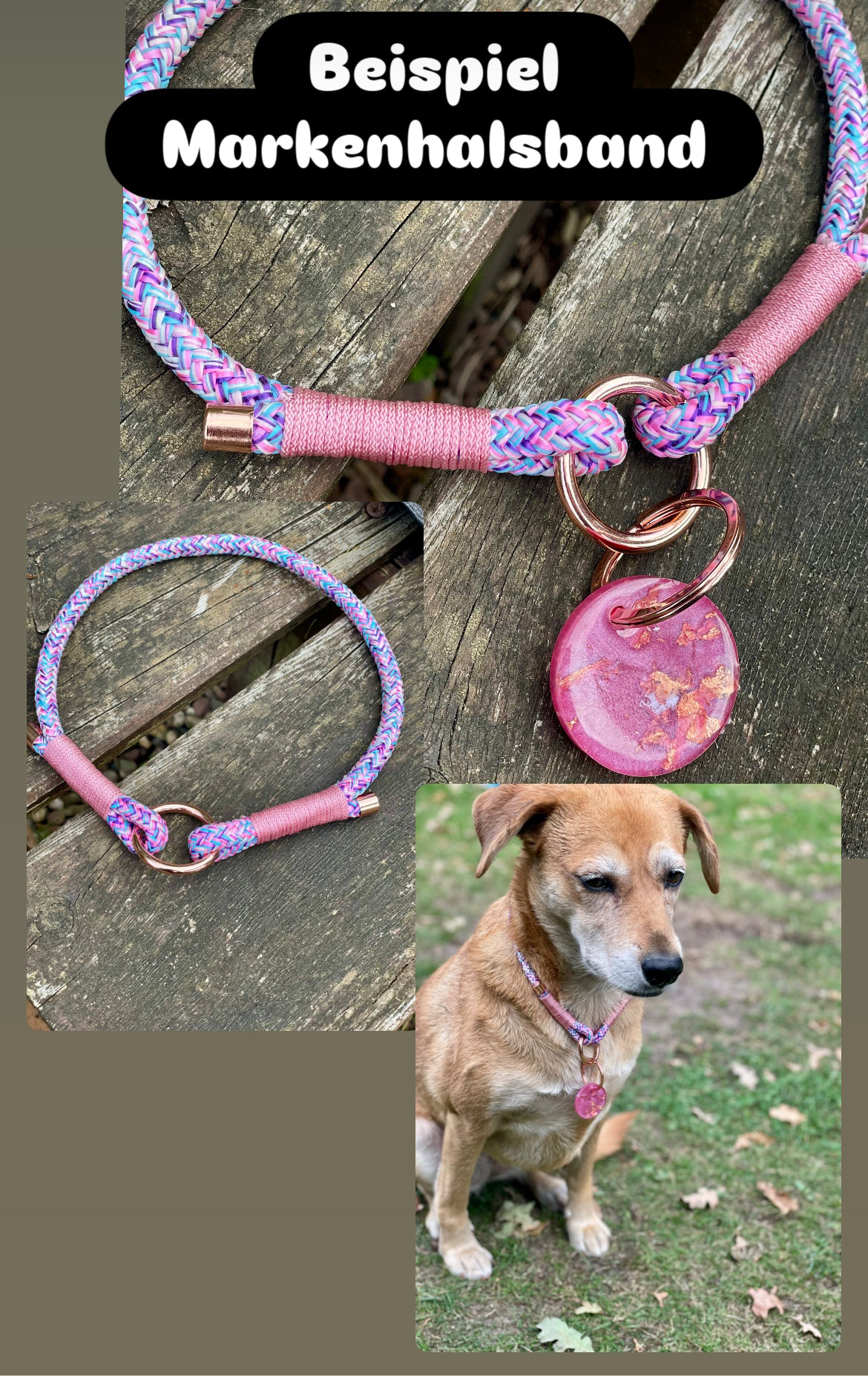 Adventsbox Tau Kleine Hunde