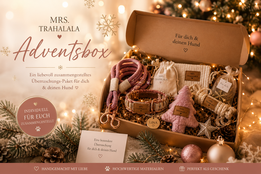 Adventsbox