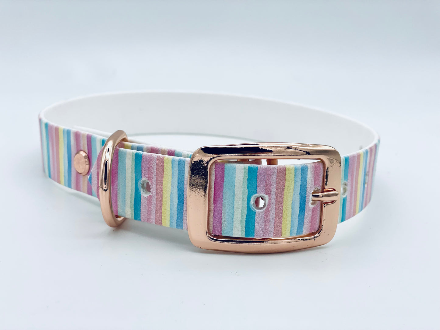 Halsband Biothane Regenbogen - passend zur Einhornleine