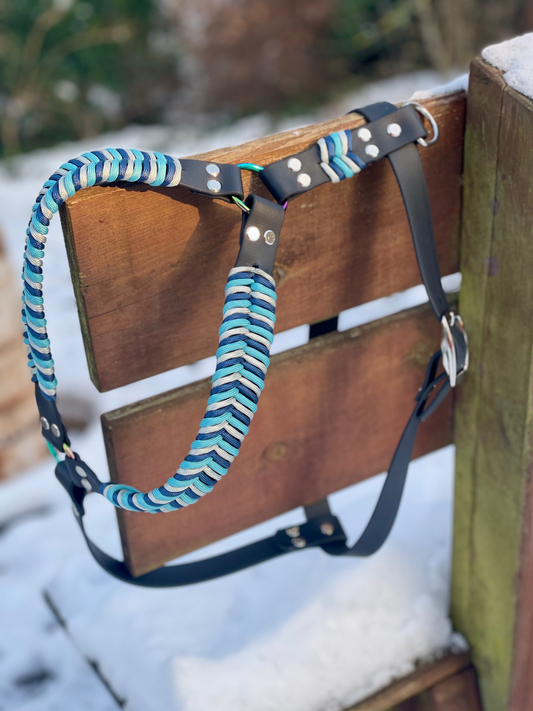 Biothane Geschirr Fischgrät Paracord