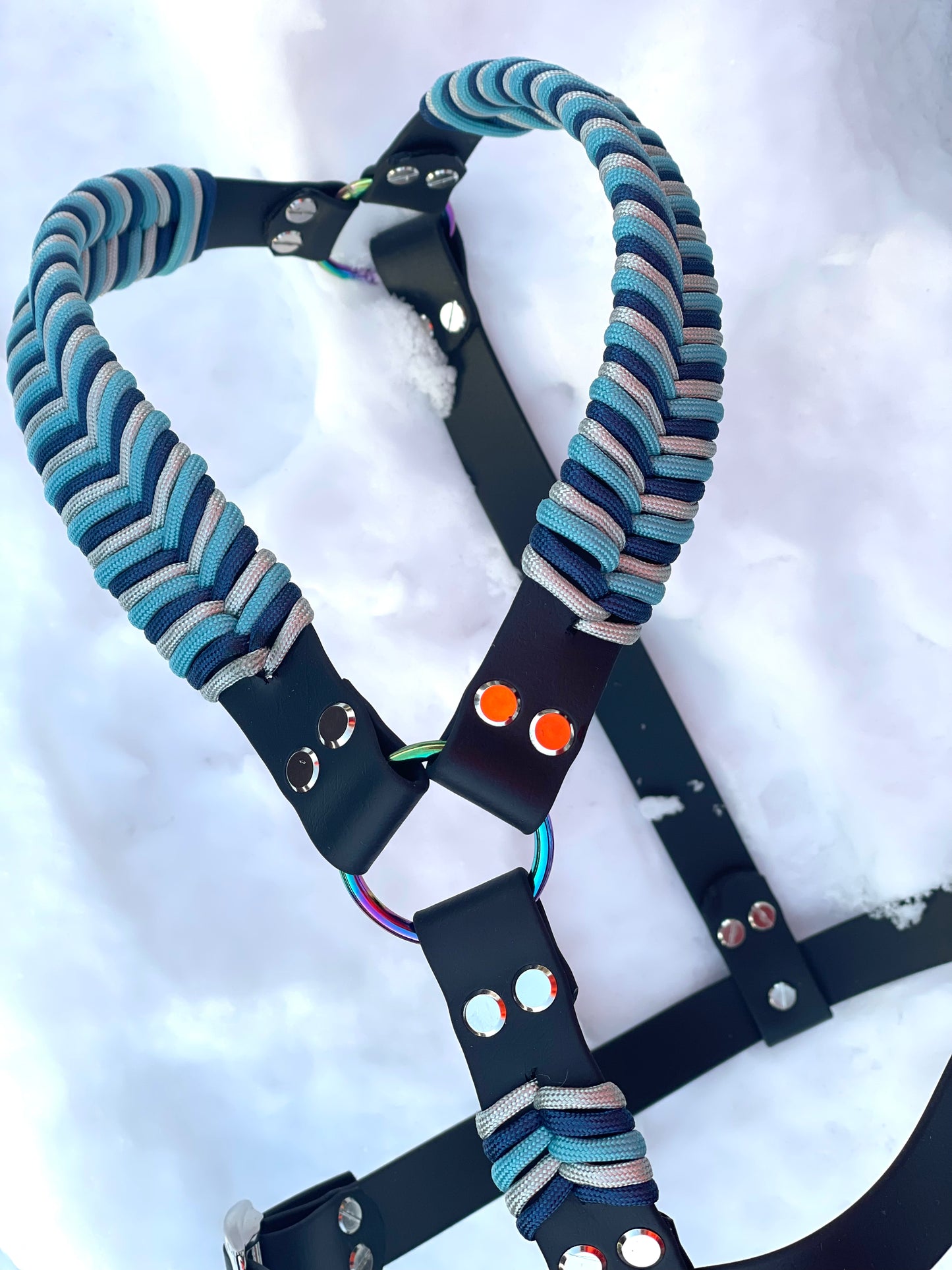 Biothane Geschirr Fischgrät Paracord