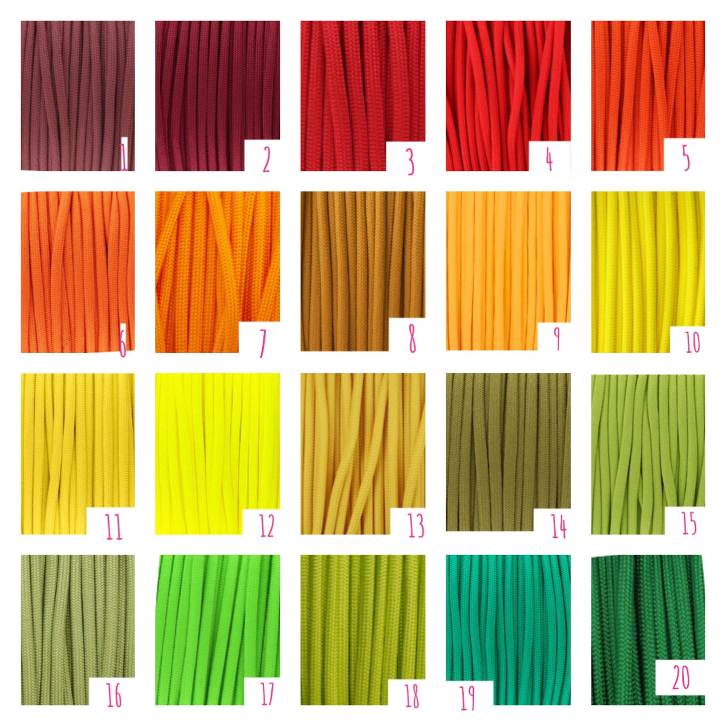 Biothane Geschirr Fischgrät Paracord