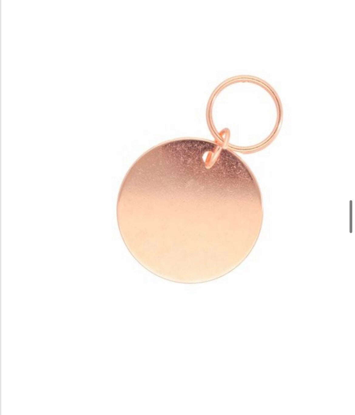 Dog Tag Hundemarke ID